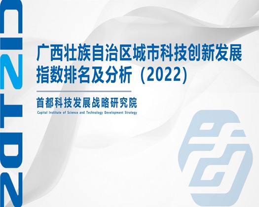 狂操国产美女嫩逼【成果发布】广西壮族自治区城市科技创新发展指数排名及分析（2022）